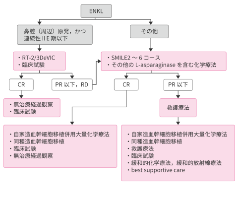 節外性NK/T細胞リンパ腫,鼻型アルゴリズム