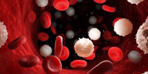 01leukemia