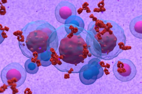 03multiple-myeloma_0